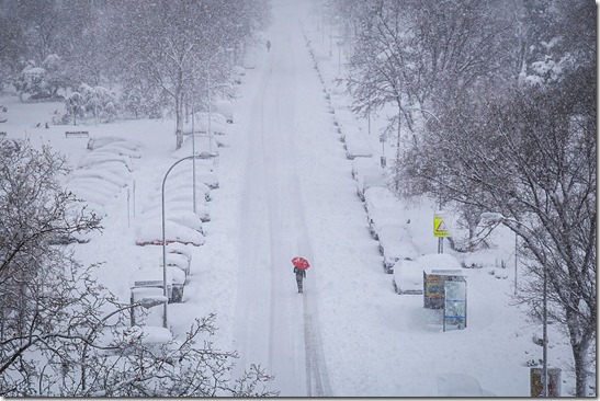 instagram.com/teresitacc